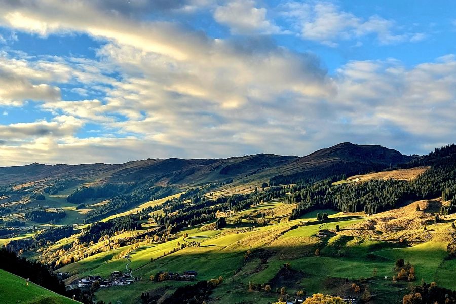 grüne Felder auf Bergen