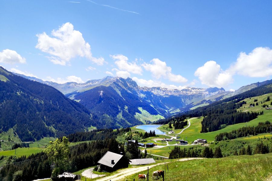 Klares Wasser im alpinen Tal