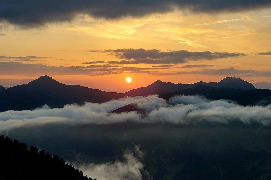Waldlandschaft im Morgenlicht